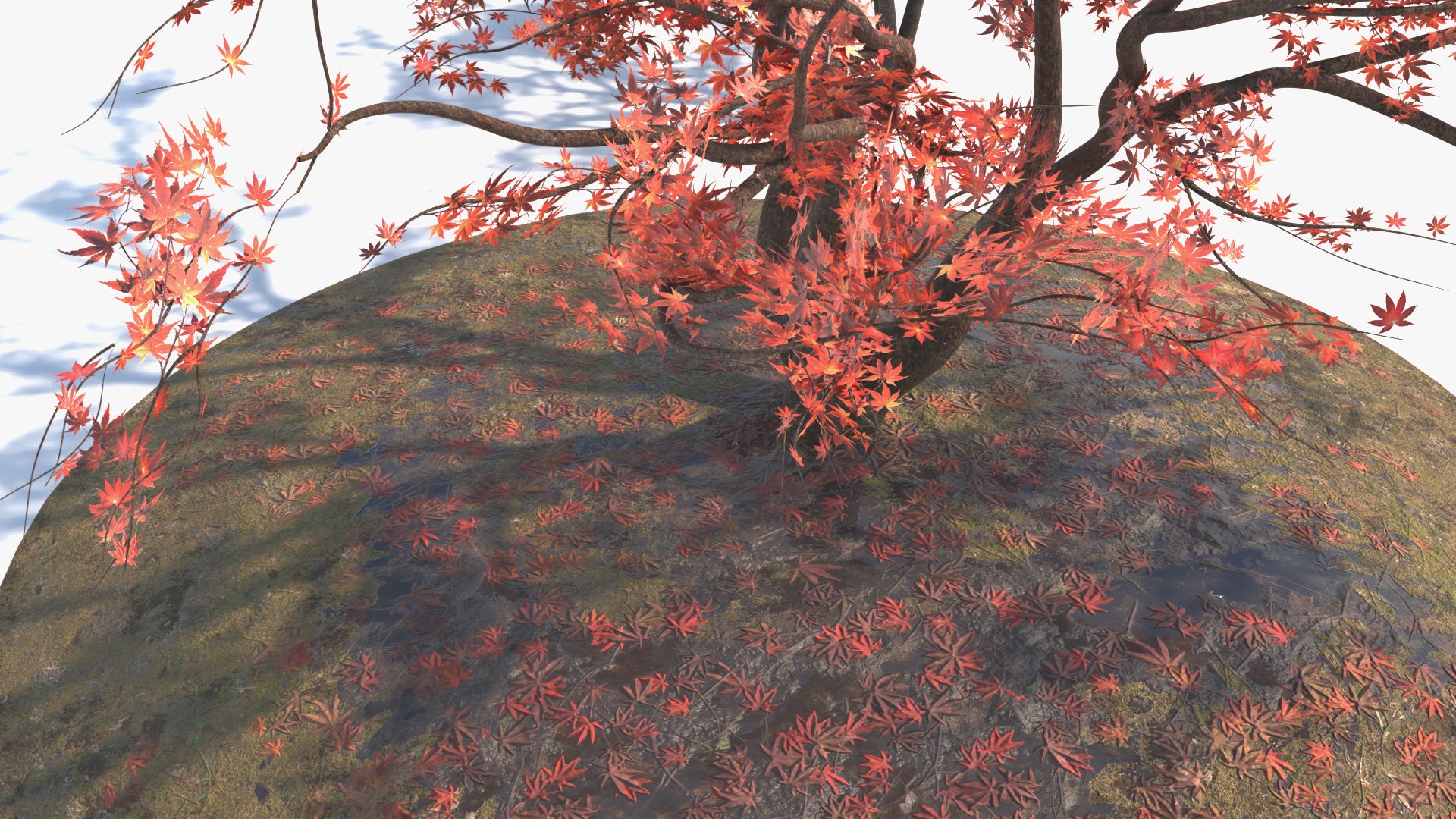 Closeup image of a Japanese red maple (also known as Momiji) set over a moss and leaf covered floor. The 3D model is made with low polycount, PBR textures, and mesh cards, perfect for game engines and VR