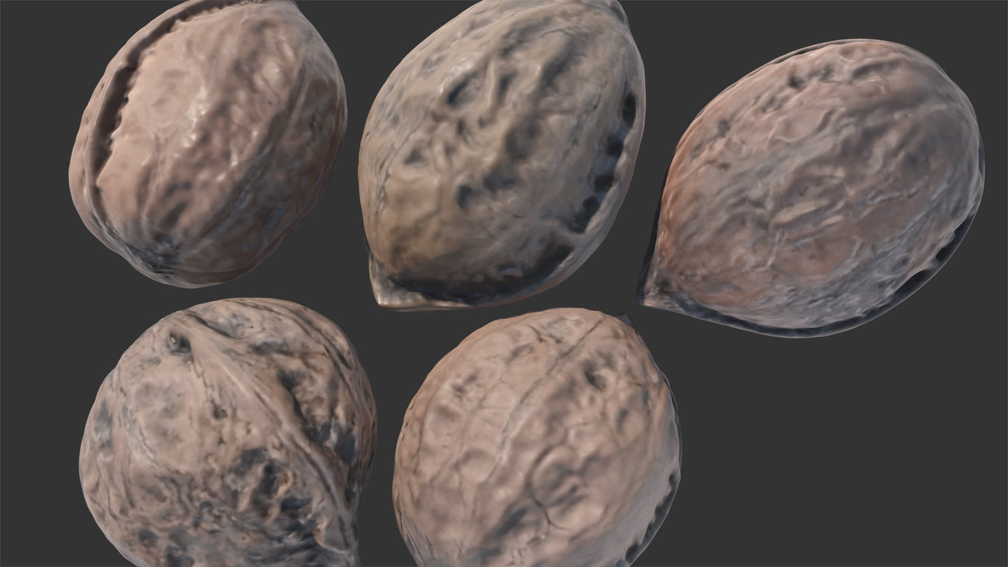 A 3d model of five Japanese variety walnuts. They have very small polycount, but they look real