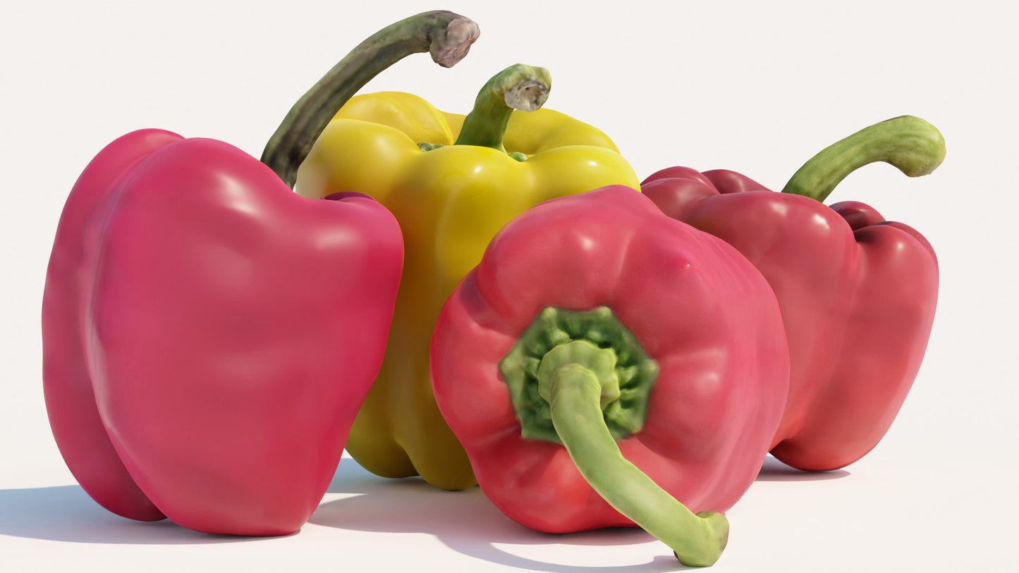 3D model of a piman (Japanese bell pepper) scanned and retopologized with low-poly count and PBR textures
