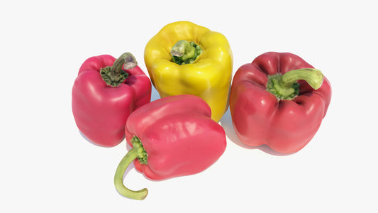 3D model of a piman (Japanese bell pepper) scanned and retopologized with low-poly count and PBR textures