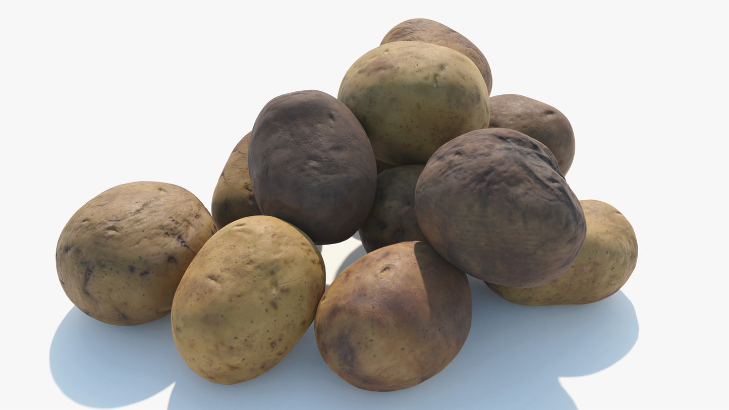 #D model of a group of 12 potatoes of wich 4 are clean, 4 are dirty, and 4 are old. Lowpoly and PBR materials make this a great game asset, perfect for the metaverse
