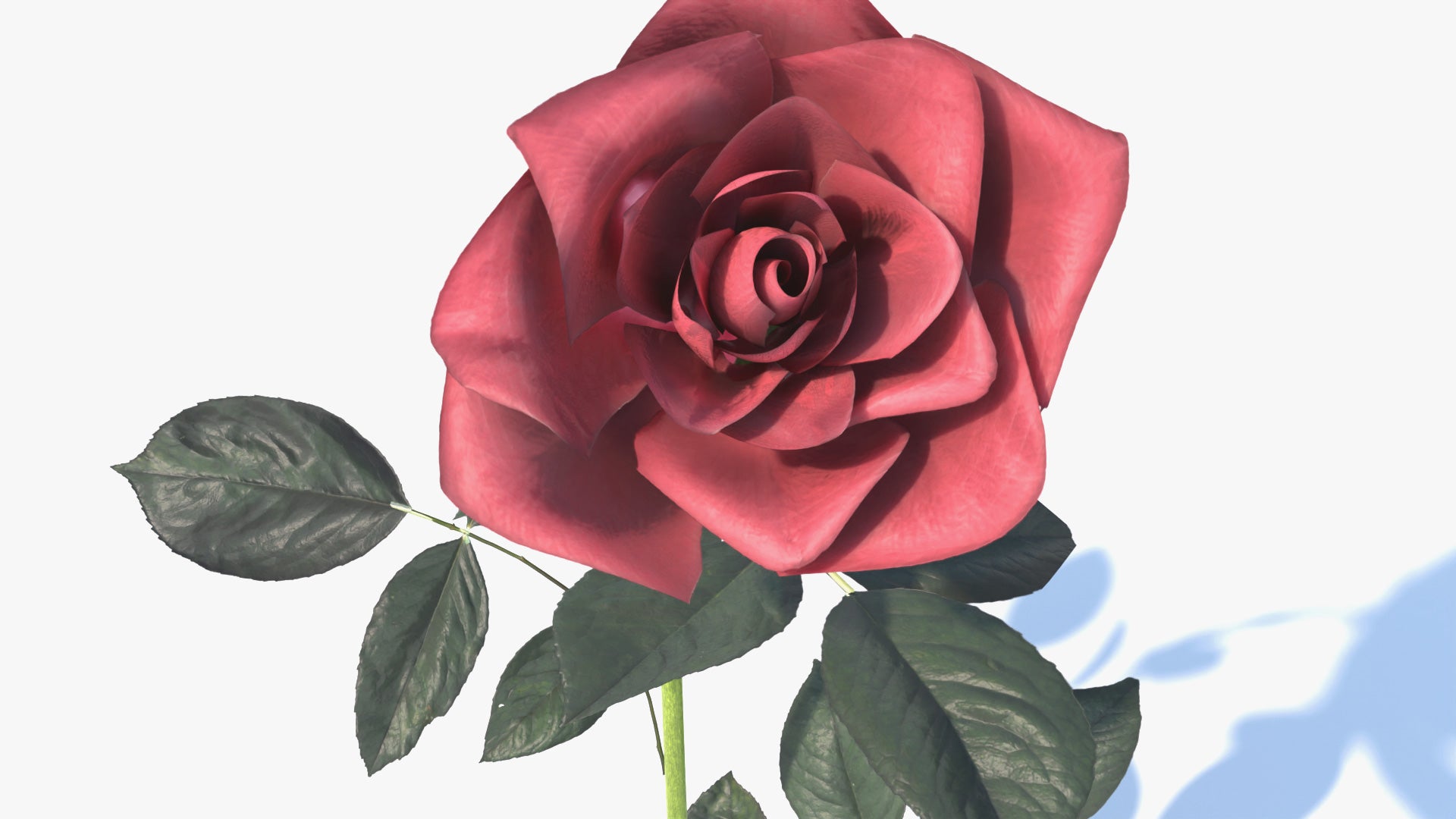 3d model of a rose made in Blender, with low polycount and PBR textures