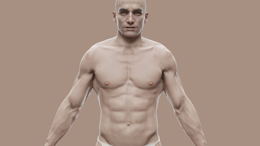 Realistic 3D character, real-time-low-poly, PBR, male, muscular, Blender, FBX, GLB, game asset, Transhuman4Blender