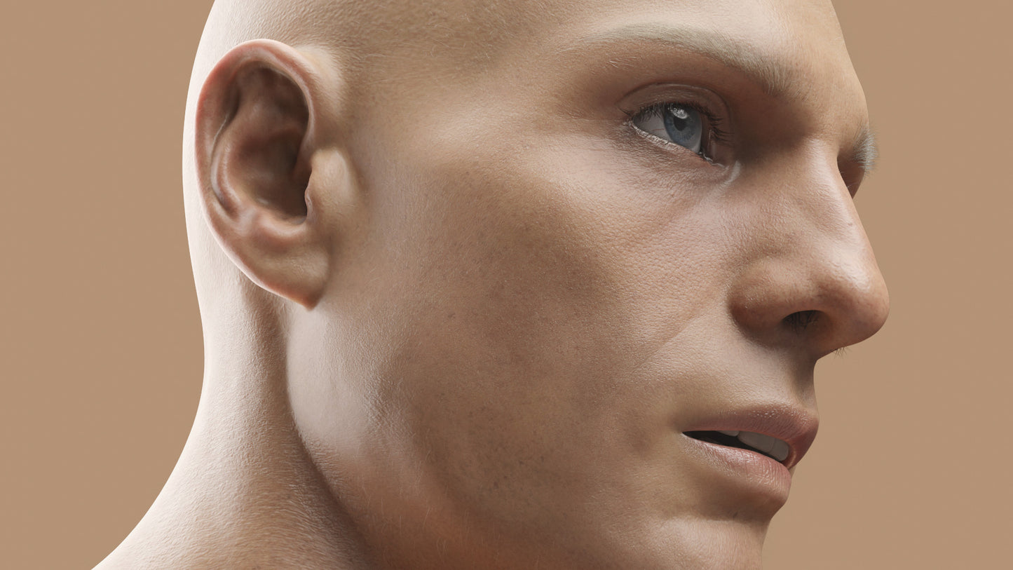 SAWYER | Transhuman4Blender - Persona |