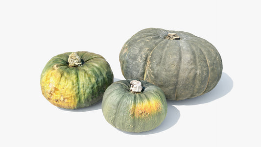 3d model of scanned japanese green pumpkins, retopologized and low poly for Blender and OBJ with PBR textures