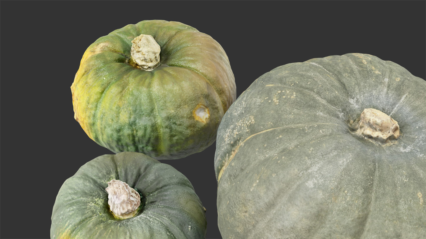 3d model of scanned japanese green pumpkins, retopologized and low poly for Blender and OBJ with PBR textures