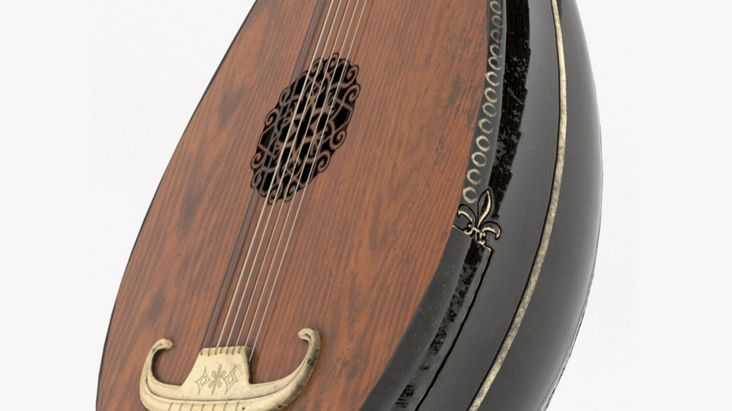 Black and Ivory Lute