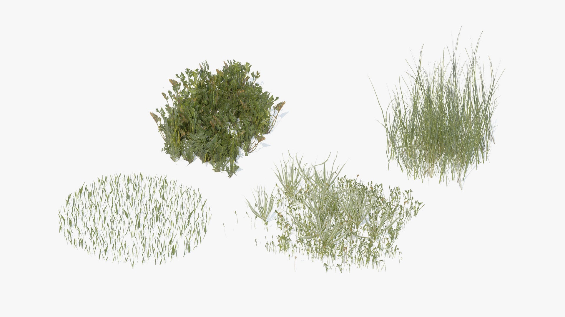 grass pack 3d model for Blender and OBJ, with PBR textures, mmesh cards and lowpoly