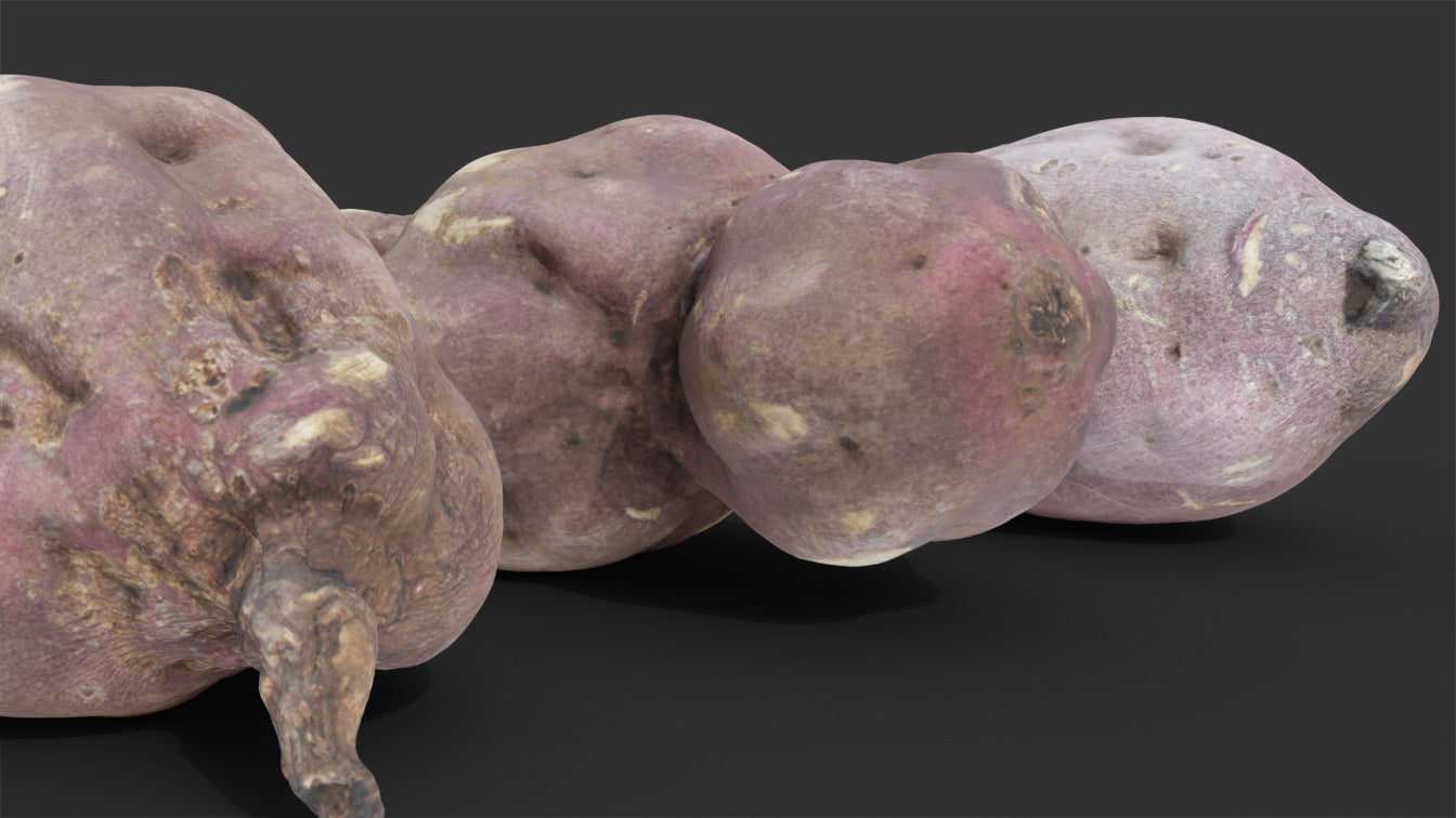 japanese sweet potato 3d model Blender photogrammetry scan OBJ PBR