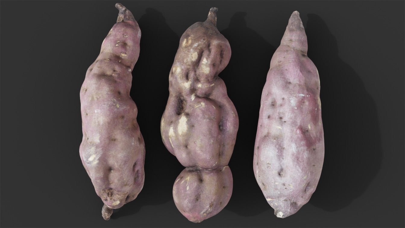 japanese sweet potato 3d model Blender photogrammetry scan OBJ PBR