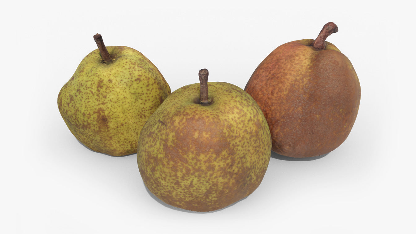 La France pears golden PBR 3d model for blender and OBJ