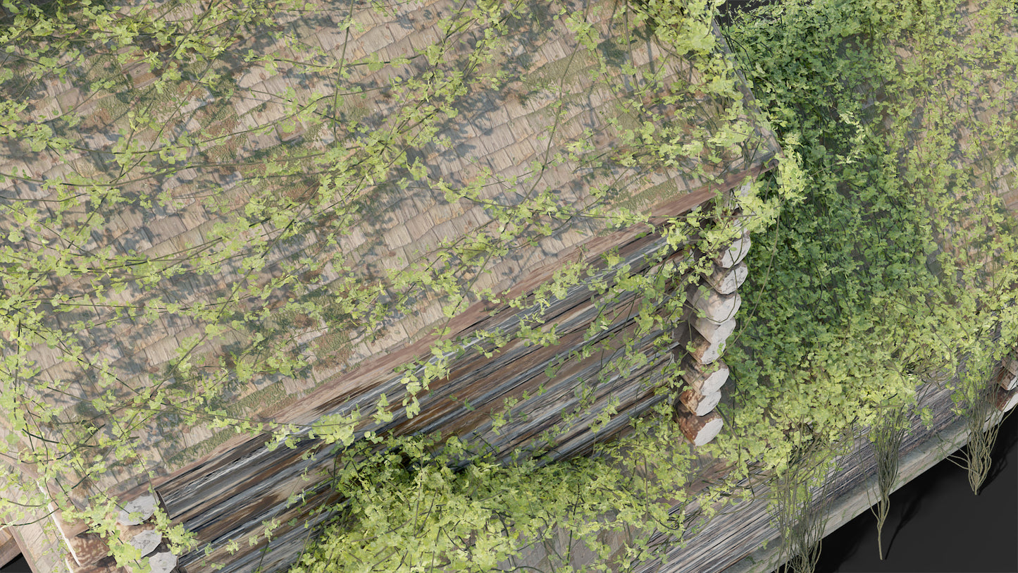 Abandoned medieval house wood cabin ivy roof3d model Blender OBJ with PBR textures and low-poly