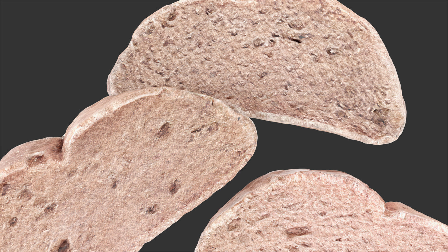 Rye bread slices 3d model blender obj with PBR textures