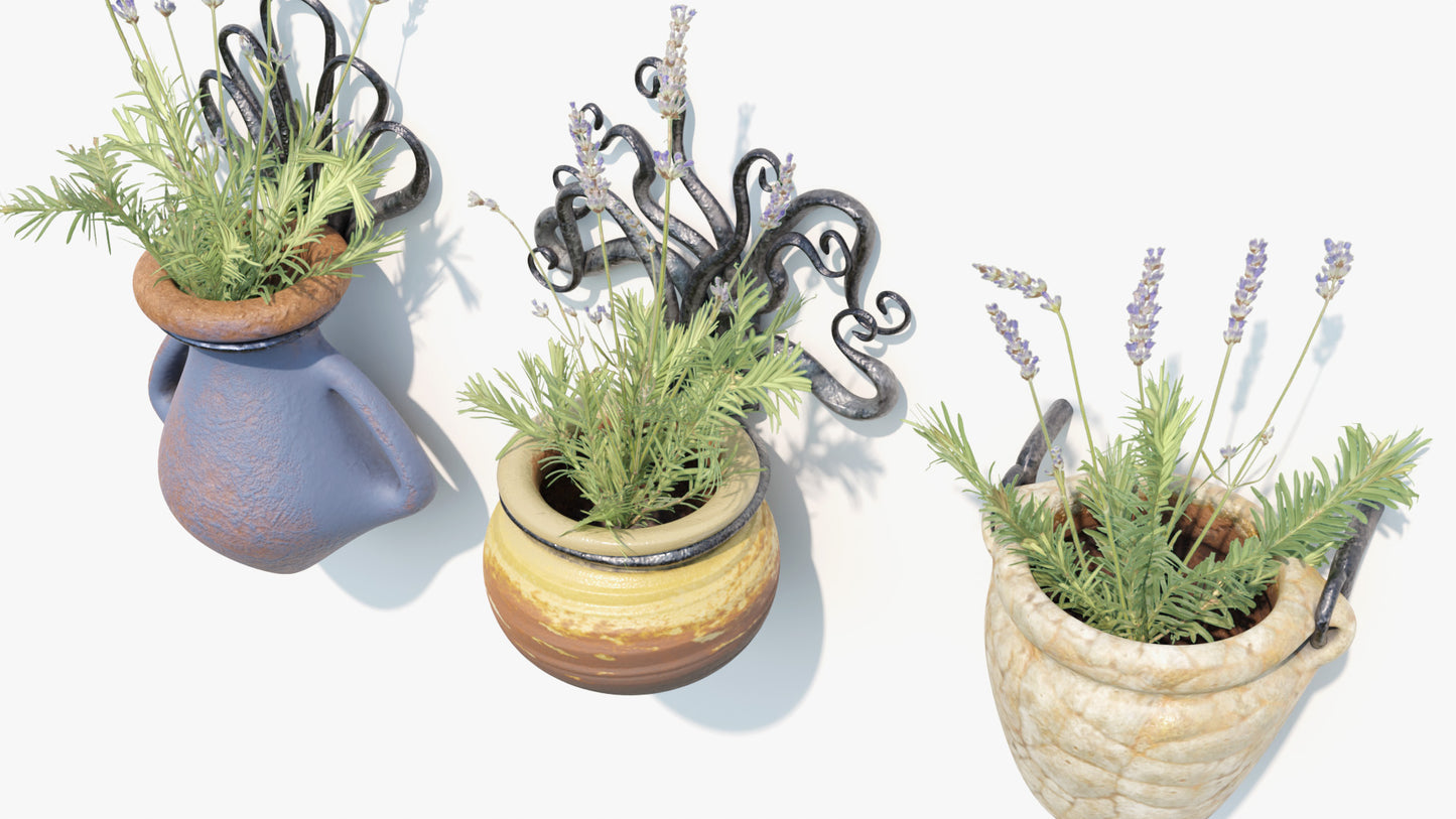 design wall planter octopus and shell with lavender 3d model blender obj pbr lowpoly